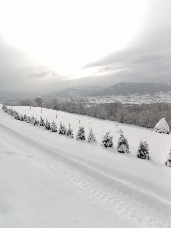 La Cabana Viseu de Jos Buitenkant foto